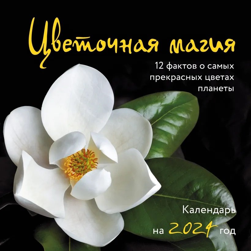 Цветочная магия. 12 фактов о самых прекрасных цветах планеты. Календарь настенный на 2024 год (300х300 мм)
Цветочная магия. 12 фактов о самых прекрасных цветах планеты. Календарь настенный на 2024 год (300х300 мм)