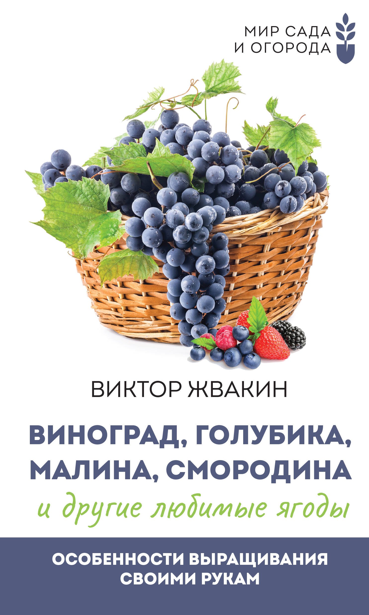 Виноград, голубика, малина, смородина и другие любимые ягоды. Особенности выращивания своими руками
Виноград, голубика, малина, смородина и другие любимые ягоды. Особенности выращивания своими руками