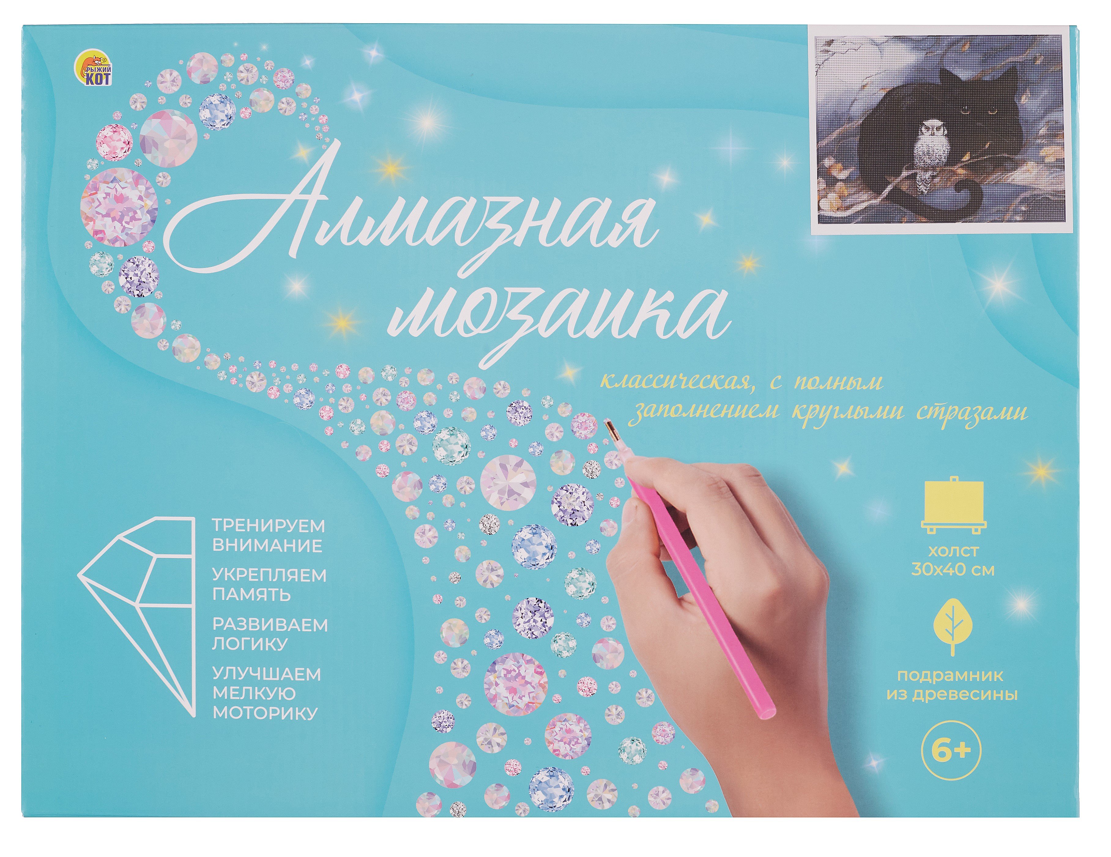 Алмазная мозаика (классическая), с подрамником, с полным заполнением "Черный кот и сова", 30 х 40 см
Алмазная мозаика (классическая), с подрамником, с полным заполнением "Черный кот и сова", 30 х 40 см