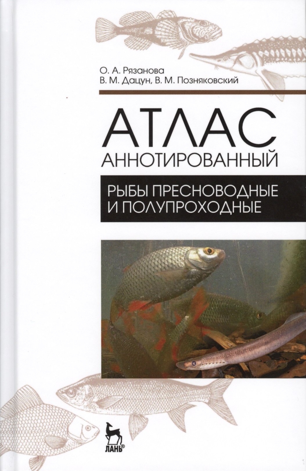 Атлас аннотированный. Рыбы пресноводные и полупрохордные. Учебно-справочн. пос., 1-е изд.
Атлас аннотированный. Рыбы пресноводные и полупрохордные. Учебно-справочн. пос., 1-е изд.