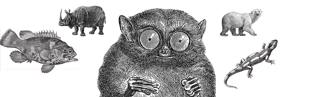 Почему у книг O'Reilly на обложках животные