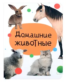 Купить Домашние животные — Фото №1