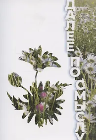 Купить Далее по смыслу — Фото №1