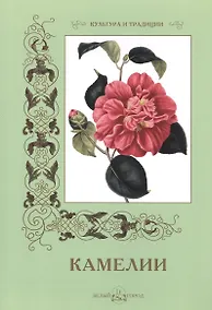 Купить Камелии — Фото №1