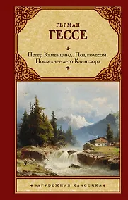 Купить Петер Каменцинд. Под колесом. Последнее лето Клингзора. Душа ребенка. Клейн и Вагнер — Фото №1