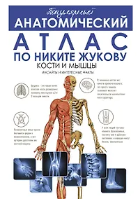 Купить Популярный анатомический атлас по Никите Жукову. Кости и мышцы. Инсайты и интересные факты — Фото №1