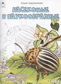 Купить Насекомые и паукообразные — Фото №1