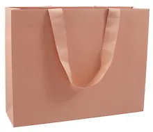 Купить Пакет А3 44*34*12 "Beige" — Фото №1