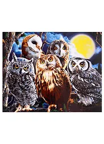 Купить Холст с красками по номерам на подрамнике "Совиная компания", 40 х 50 см — Фото №1