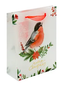 Купить Пакет А5 25*19*8,5 "Снегирь" НГ, пластиковый — Фото №1