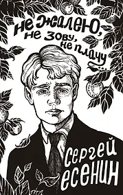 Купить Не жалею, не зову, не плачу... — Фото №1