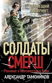 Купить Зловещий лабиринт — Фото №1