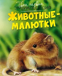 Купить Животные-малютки — Фото №1