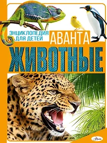 Купить Животные — Фото №1