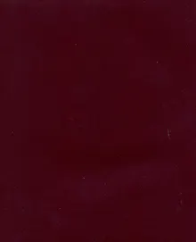 Купить Тетрадь в клетку Listoff, "Бордовый бумвинил", 48 листов — Фото №1