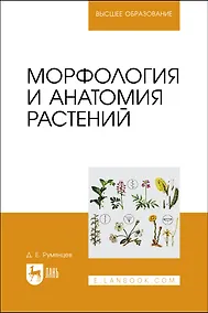 Купить Морфология и анатомия растений. Учебное пособие — Фото №1