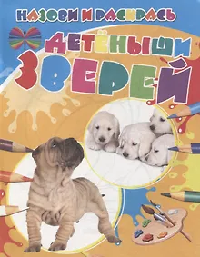 Купить Детеныши зверей — Фото №1