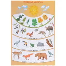 Купить Пищевые цепочки 50 x 69 — Фото №1