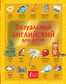 Купить Визуальный английский для детей — Фото №1