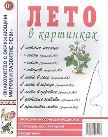 Купить Лето в картинках. Наглядное пособие для педагогов, логопедов, воспитателей и родителей — Фото №1