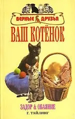 Купить Ваш котенок. задор и обаяние. — Фото №1