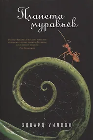Купить Планета муравьёв — Фото №1