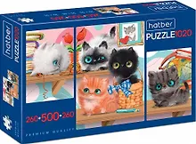 Купить Пазл Premium "Кошарики", 1020 элементов, 3 картинки в 1 коробке — Фото №1