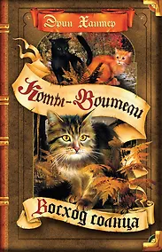 Купить Восход солнца — Фото №1