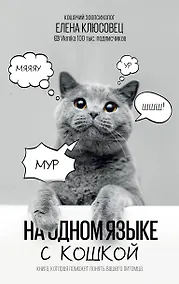 Купить На одном языке с кошкой — Фото №1
