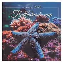 Купить Календарь 2026г 290*290 "Подводный мир" настенный, на скрепке — Фото №1