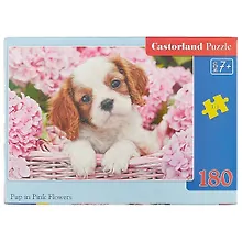 Купить Пазл Castorland Щенок в цветах 180эл., 32*23см — Фото №1