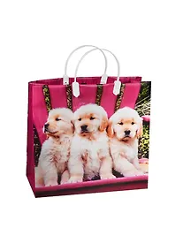 Купить Пакет подарочный пластиковый, А4 — Фото №1