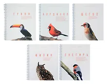 Купить Тетрадь в клетку Listoff, "Красивые птицы", 96 листов, в ассортименте — Фото №1