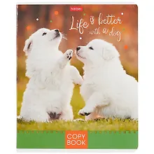 Купить Тетрадь в клетку Hatber, "Doggie-Щенки", 48 листов, в ассортименте — Фото №1