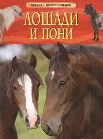 Купить Лошади и пони — Фото №1