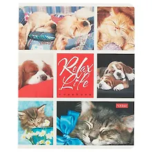 Купить Тетрадь в клетку Hatber, Relax Life, 24 листа, в ассортименте — Фото №1