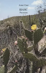 Купить Шанс — Фото №1