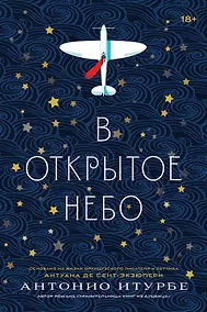 Купить В открытое небо — Фото №1