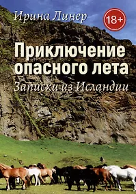 Купить Приключение опасного лета. Записки из Исландии — Фото №1