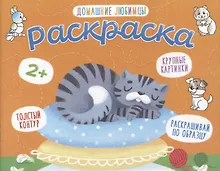 Купить Домашние любимцы. Раскраска — Фото №1