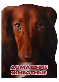 Купить МИР ЖИВОТНЫХ. ДОМАШНИЕ ЖИВОТНЫЕ — Фото №1