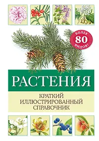 Купить Растения. Краткий иллюстрированный справочник — Фото №1