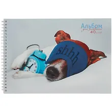 Купить Альбом для рисования Listoff, Sweet dreams, А4, 40 листов, на гребне — Фото №1