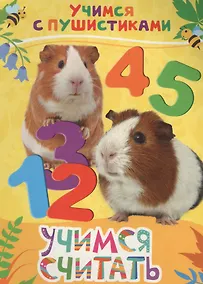 Купить Учимся считать — Фото №1