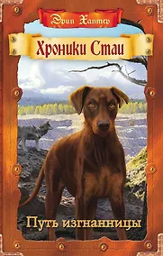 Купить Путь изгнанницы — Фото №1