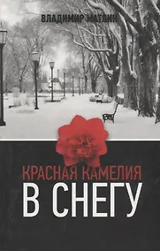 Купить Красная камелия в снегу — Фото №1