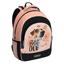 Купить Рюкзак "Jack Russell" 1отд., 39*28*14см 3 кармана, 520 гр, грудн. перемычка, эргоном.спинка, Erich Krause — Фото №1