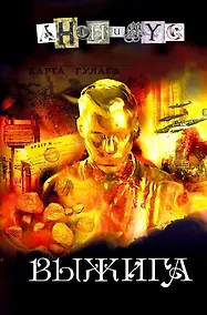 Купить Выжига, или Золотое руно судьбы: роман — Фото №1