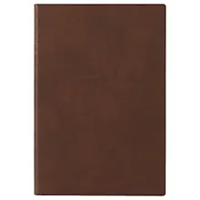 Купить Ежедневник Escalada «Травертин», коричневый, 160 листов, недатированный, А5 — Фото №1