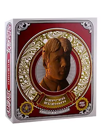 Купить Конструктор из картона Декоративный бюст - 3D Есенин — Фото №1